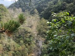 -玉渡山自然风景区