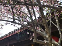 -常熟方塔园