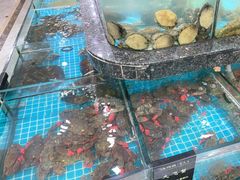 -渔码头食府(蓬莱阁店)