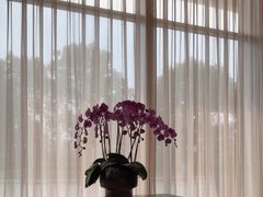 -彩丰楼·中餐厅(国家会展中心上海洲际店)