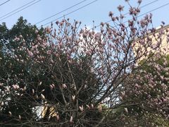-全家便利店(虹桥路四店)