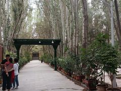 -艾提尕尔清真寺