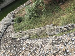 -石家庄市动物园