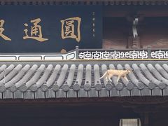 -刘伯温故里景区百丈漈