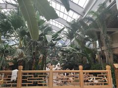 -国信南山温泉