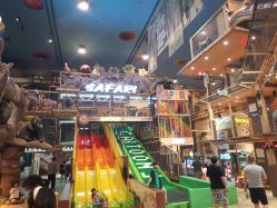 -卡通尼·Safari非洲探索乐园·生日会(金桥国际商业广场店)