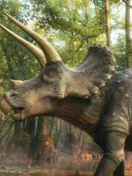 点击看大图 -恐龙探索乐园(磁器口店)