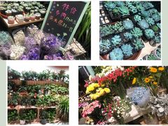 -七鲜超市(通州ONE店)