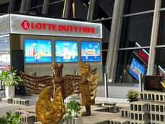 -河内内排国际机场