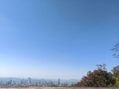 -紫金山山顶公园