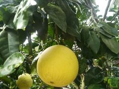 -金堂县云顶石城风景区