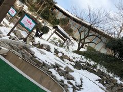 -江南天池高山汤泉城