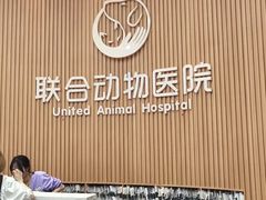 -联合动物医院(光谷诊疗中心)