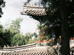 -洛阳白马寺