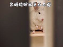 -龙猫仔乐园(惠福东路店)