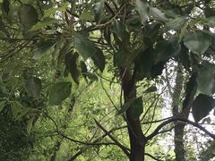 -同里国家湿地公园