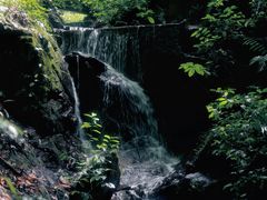 -莫里热带雨林景区