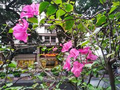 -广州市第一人民医院(院本部)