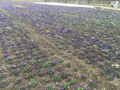 -万达影城(凯旋城广场XLAND店)