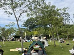 -白石龙音乐公园