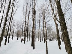 -雪谷