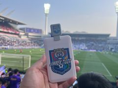 -泰达足球场