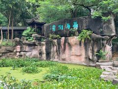 -深圳国际园林花卉博览园