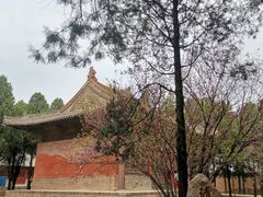 -永乐宫