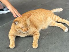 -曼谷国家博物馆
