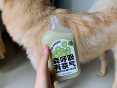 -SENTEA森茶(麦地丽日店)
