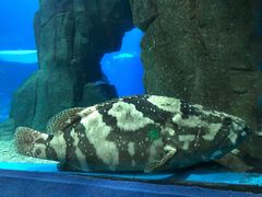 -福州罗源湾海洋世界旅游区