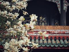 -望江楼公园
