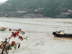 -北岐滩涂