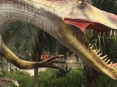 -自贡恐龙博物馆