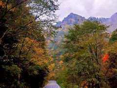-秦岭风景区
