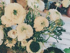 -Jo's Garden
