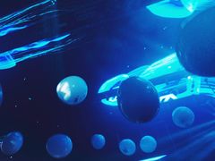 -SPACE(欢乐颂购物中心店)