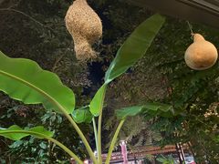 -火咂咂竹筒宴(告庄店)