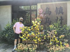 -乌村