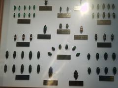 -上海昆虫博物馆