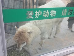 -水绘园