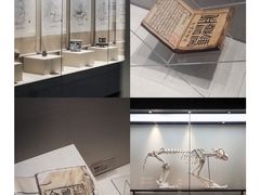-广东中医药博物馆