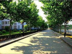 -南京理工大学紫金学院