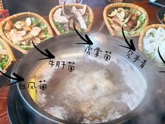 -滇野云南野生菌餐厅(陕西南路店)