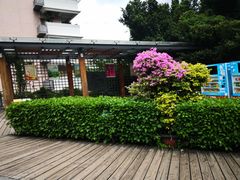 -金鸡山公园