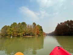 -上海海湾国家森林公园