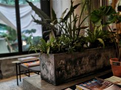 -PlantsEatery·植物食堂(REX春熙店)