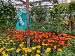 -南宫五洲植物乐园