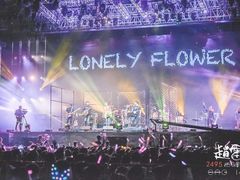 -南京奥林匹克体育中心-体育馆