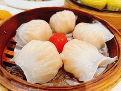 -益健美食大广场(北岭店)